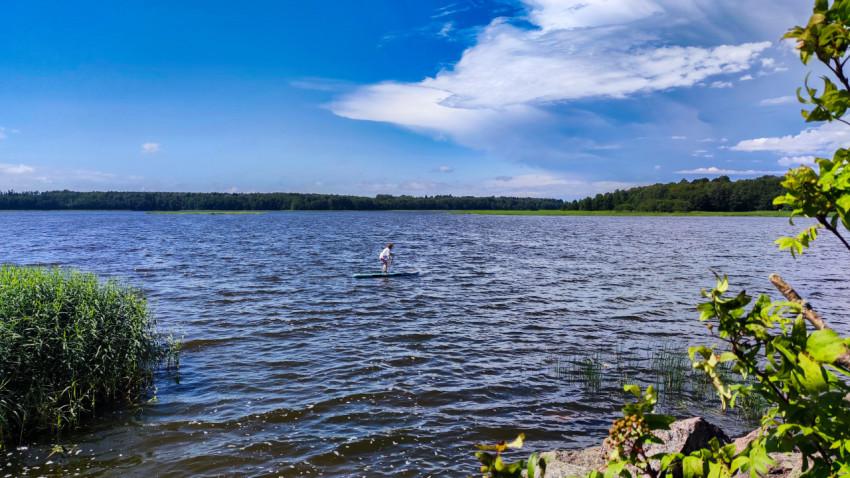 Сапбордист на озере с видом на лесной берег