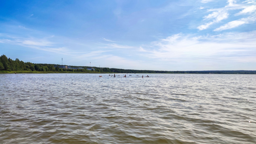 Люди купаются в озере на фоне леса