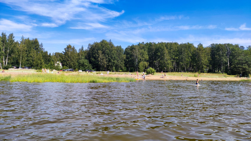 Люди отдыхают на пляже у леса