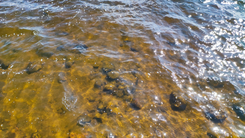 Камни на мелководье озера под солнечными бликами