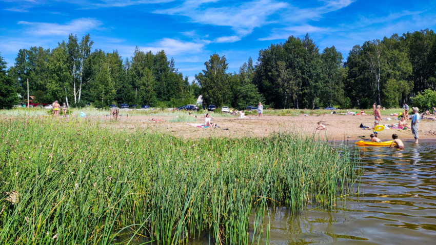 Люди отдыхают на песчаном пляже у озера