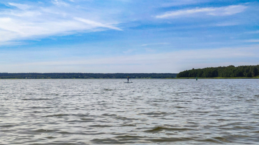 Человек на сапборде в озере у лесного берега
