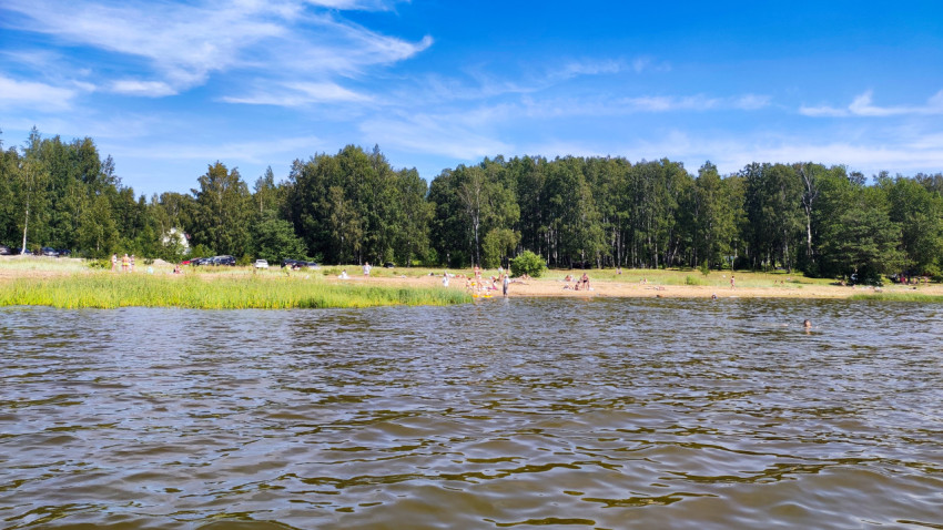 Люди отдыхают на пляже и купаются в озере
