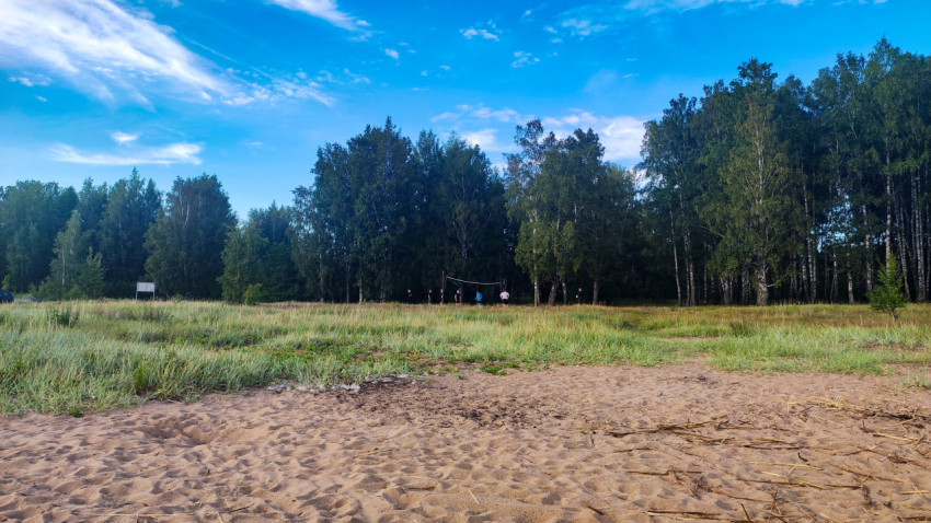 Люди играют в волейбол на поляне у леса