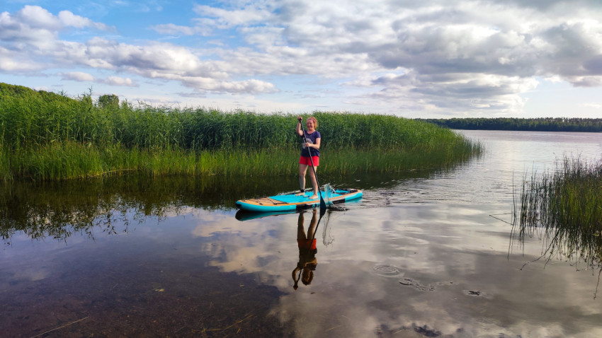 Женщина на сапборде у камышей на озере