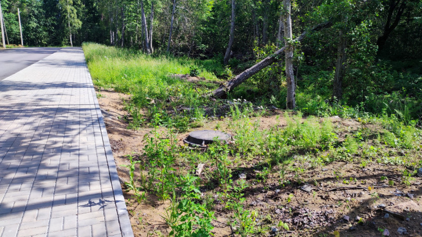 Тротуар вдоль лесополосы с видимым люком инженерных сетей