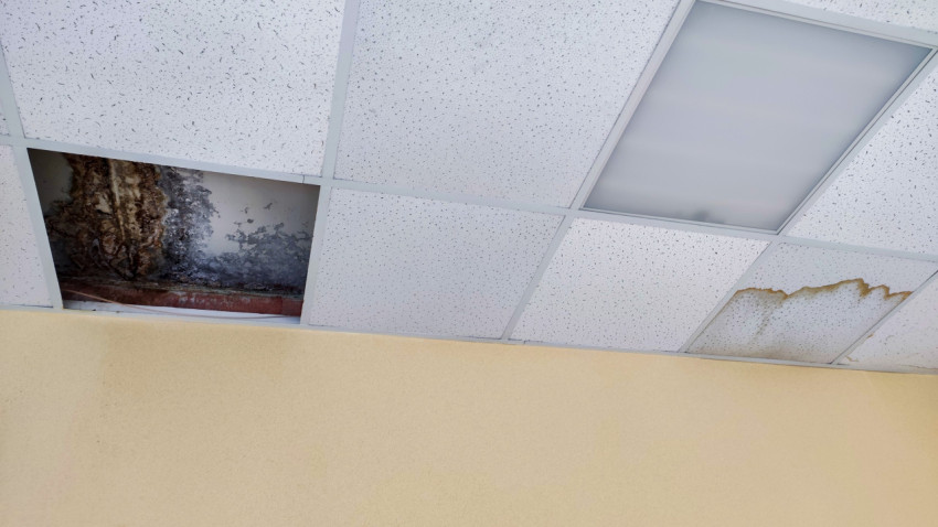 Потолок с подвесными панелями и следами протечек