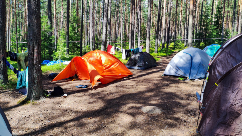 Оранжевая палатка в лесном кемпинге
