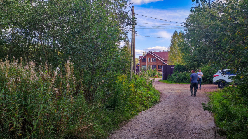 Просёлочная дорога к частному дому среди зелени