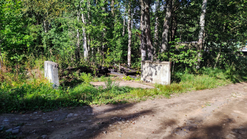Заброшенные бетонные плиты у лесной дороги
