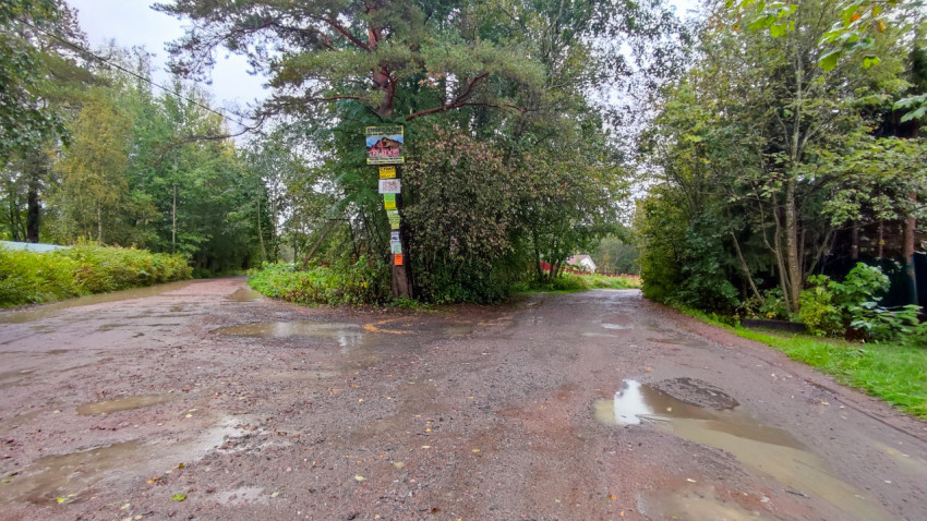 Развилка гравийных дорог в зелёной загородной местности