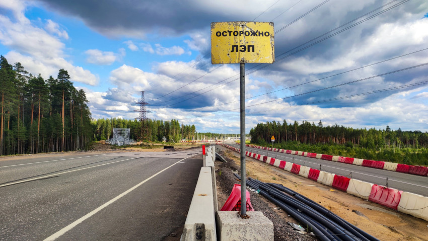 Дорожный знак «Осторожно, ЛЭП» рядом с лесом
