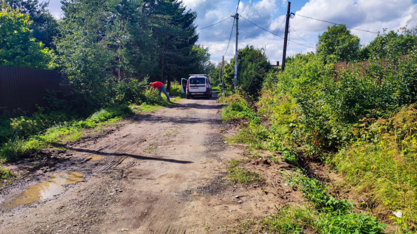 Грунтовая дорога с канавой и заросшей обочиной