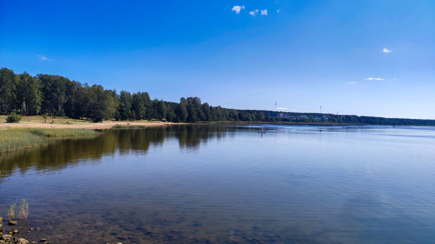 Лесной берег и спокойная водная гладь