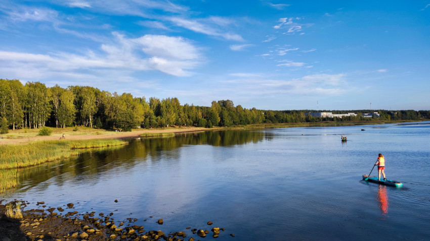 Сап-бордист на фоне берега с лесом