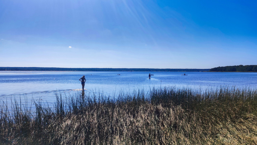 Люди на мелководье у берега озера