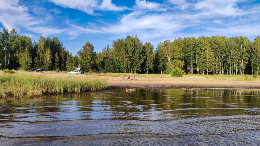 Лесной берег с пляжем и отдыхающими людьми