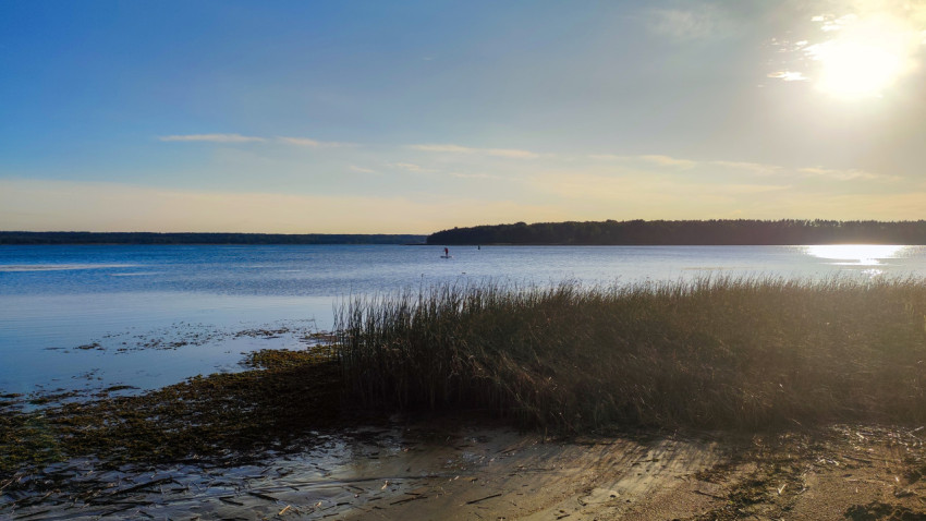 Прибрежные травы и закатное солнце над водой