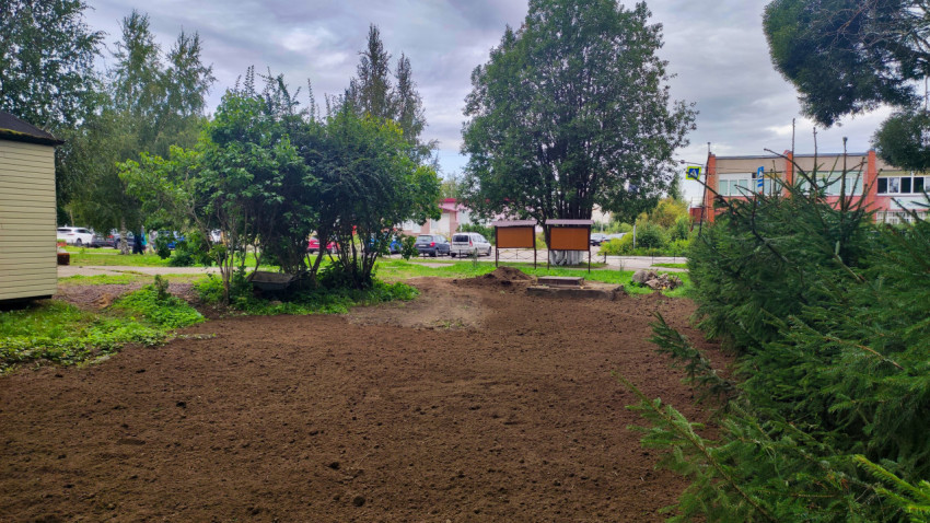 Участок земли после выравнивания и подготовки почвы