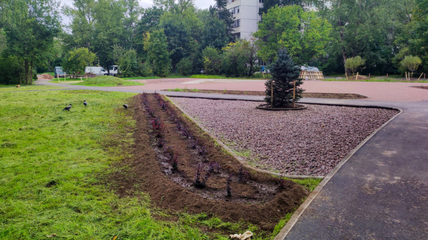 Озеленение и благоустройство дворовой территории