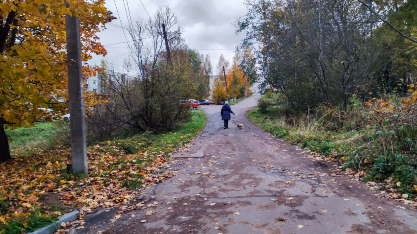 Осенний двор с пешеходом и собакой