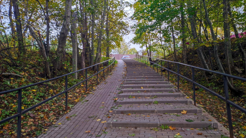 Лестница из тротуарной плитки с перилами в лесу осенью