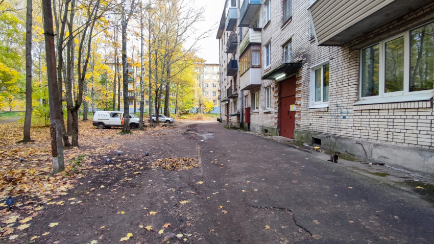 Подъезд жилого дома и двор с деревьями и припаркованными машинами