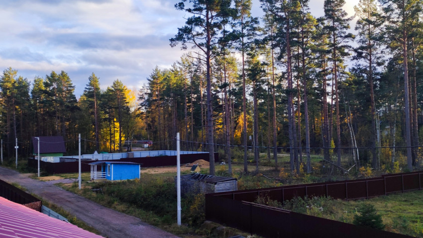 Вид на частный сектор и лес с высоты второго этажа дома