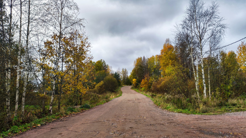 Осенняя дорога среди берёз и клёнов