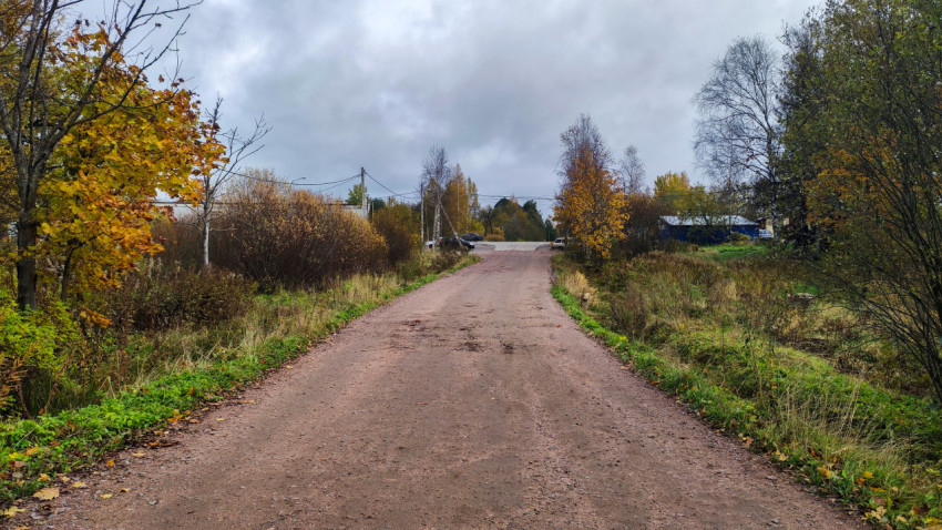 Грунтовая дорога в загородном посёлке осенью