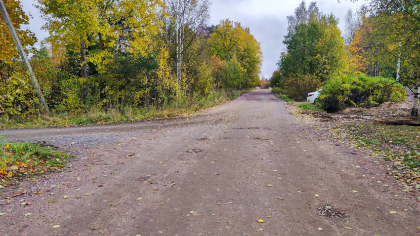 Грунтовая дорога вдоль деревьев с осенней листвой