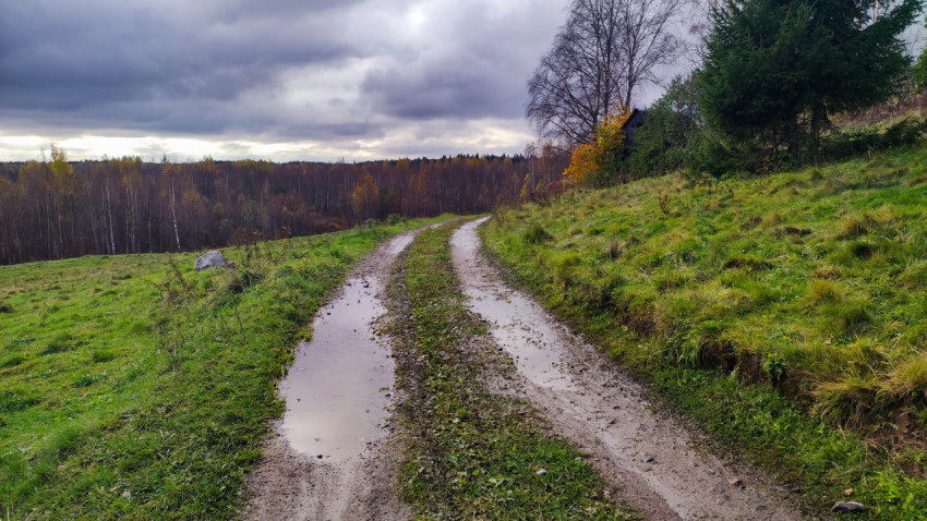 Просёлочная дорога с лужами после дождя на фоне леса