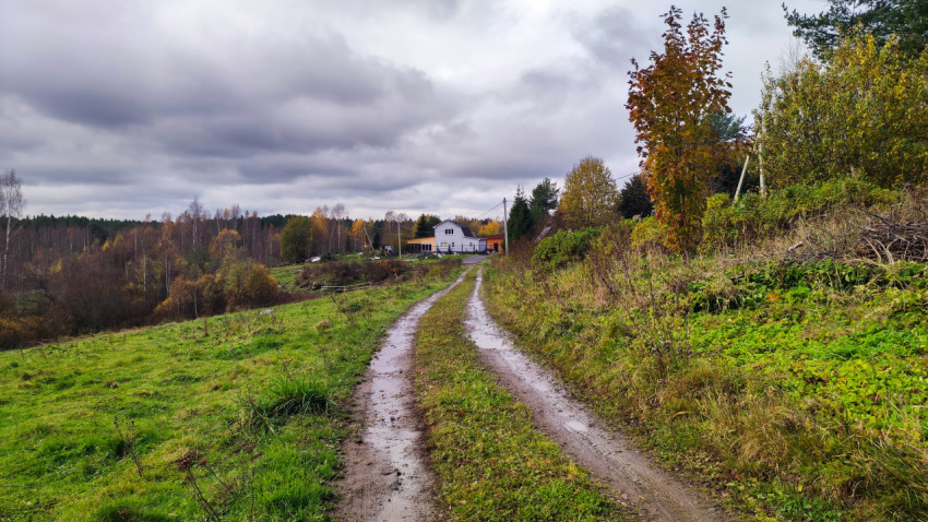 Деревенская дорога, ведущая к загородному дому среди осенних деревьев