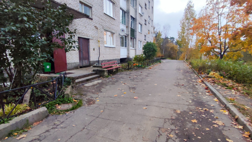 Асфальтированный двор жилого дома с лавочкой и деревьями