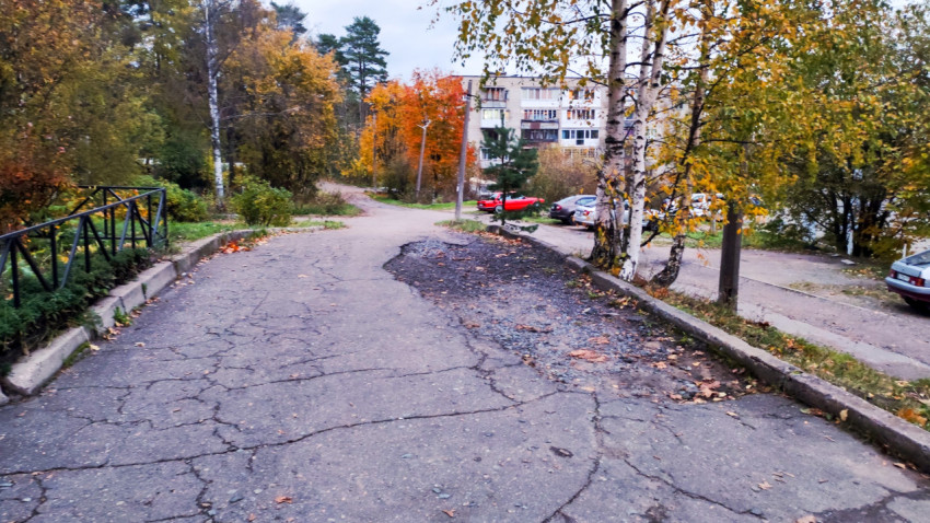 Асфальтированная дорожка во дворе жилых домов осенью