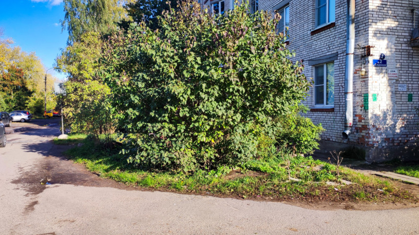 Кирпичный жилой дом на углу улицы Садовой с густыми насаждениями