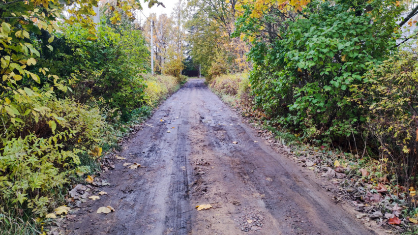 Узкая просёлочная дорога с грязевым покрытием среди кустарников