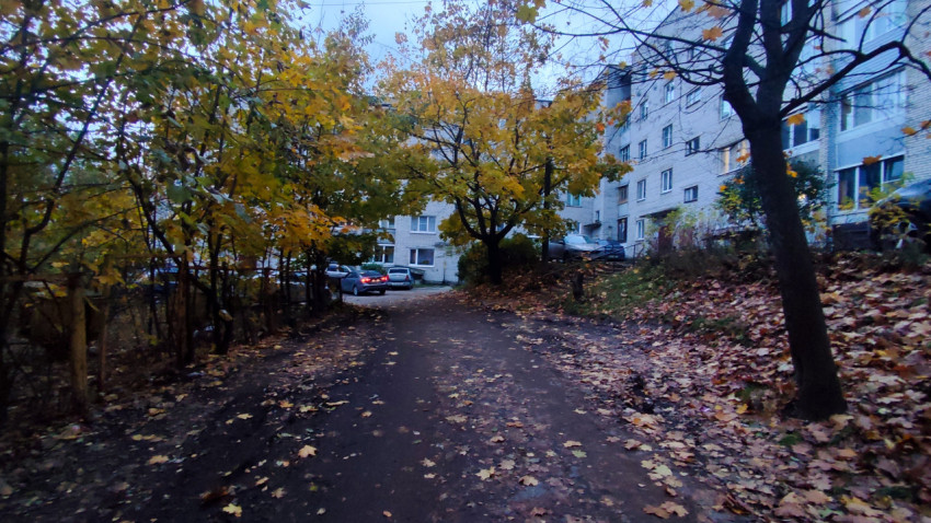Двор жилого квартала с деревьями и осенней листвой