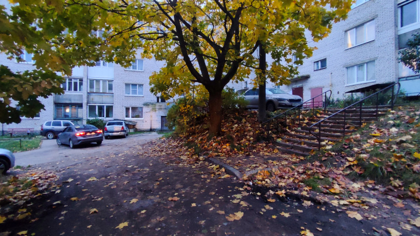 Осенняя лестница и дерево у подъезда жилого дома