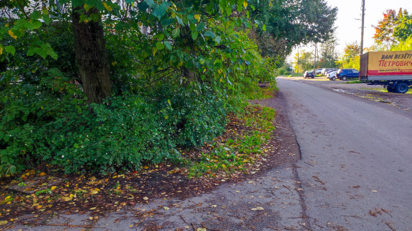 Дорожка вдоль жилого дома с зелёными кустарниками