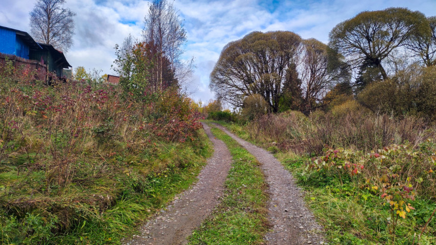 Грунтовая дорога среди кустарников и деревьев ранней осенью