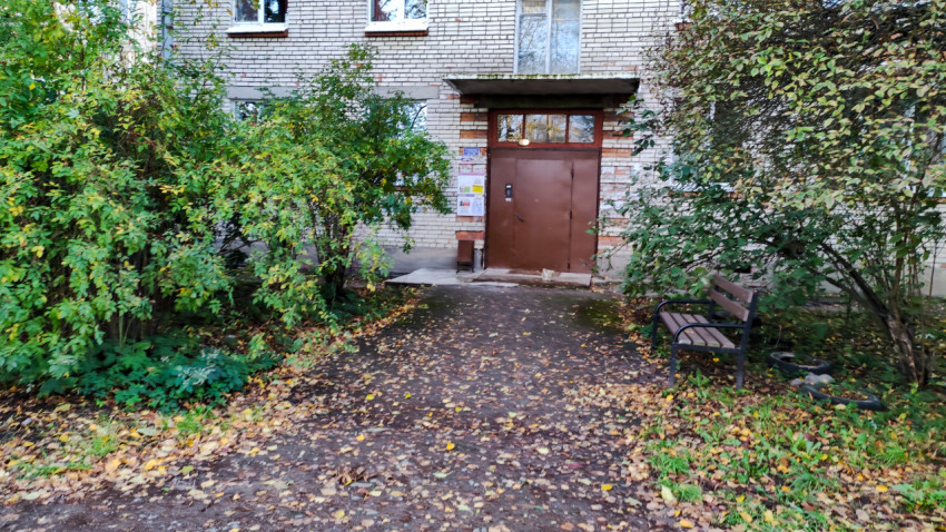 Подъезд жилого дома с лавочкой и кустарником