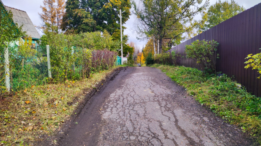 Узкая асфальтированная дорога между заборами и деревьями в частном секторе