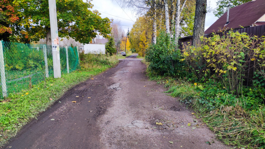 Грунтовая дорога между заборами и зелёными насаждениями в частном секторе