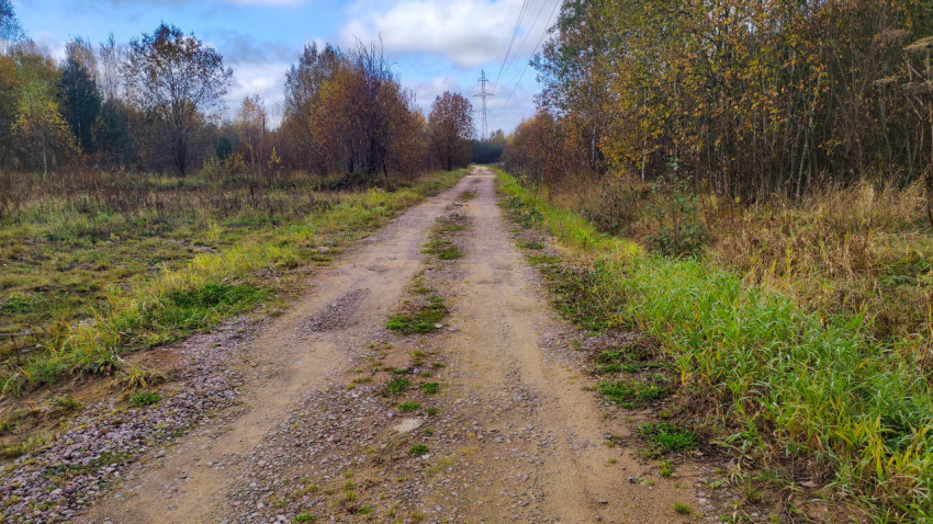 Просёлочная дорога через осенний лес под ЛЭП