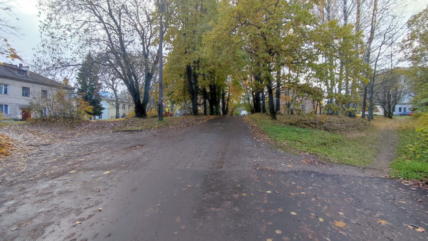 Участок дворовой дороги в окружении деревьев