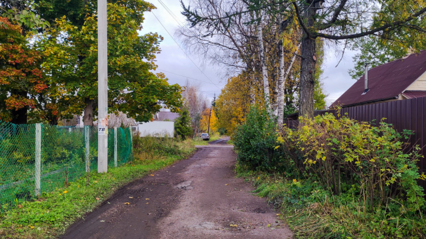 Грунтовая дорога между заборами и деревьями в частном секторе