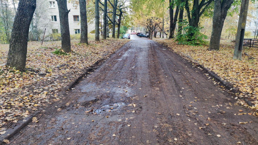 Дворовой проезд с грунтовым покрытием и деревьями по краям