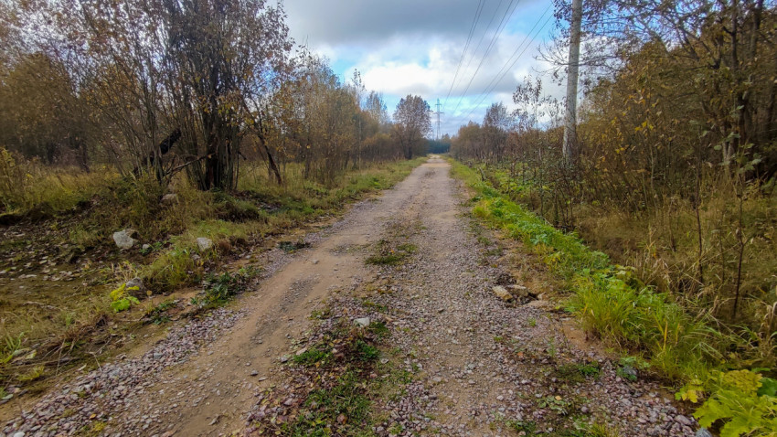 Грунтовая дорога в осеннем лесу с линиями электропередачи