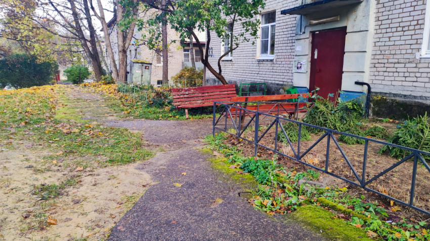 Тротуар у подъезда с участком обработанной придомовой зелени